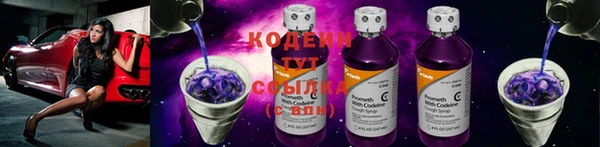 стаф Козельск
